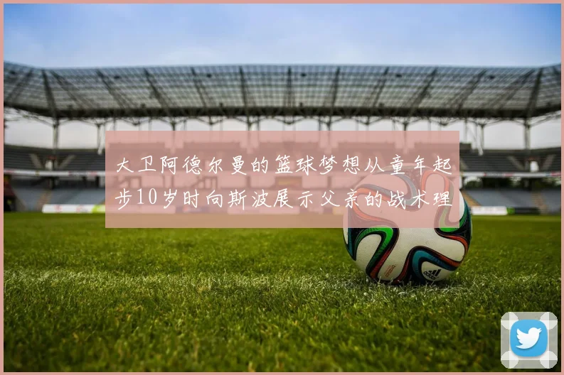 大卫阿德尔曼的篮球梦想从童年起步10岁时向斯波展示父亲的战术理念