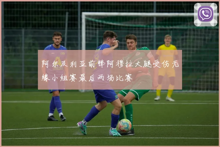 阿尔及利亚前锋阿穆拉大腿受伤无缘小组赛最后两场比赛